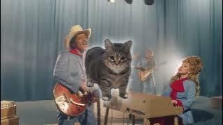 OIIAOIIA CAT x DIE WITH A SMILE