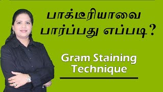 Gram Staining of Bacteria - Procedure and Principle | Tamil