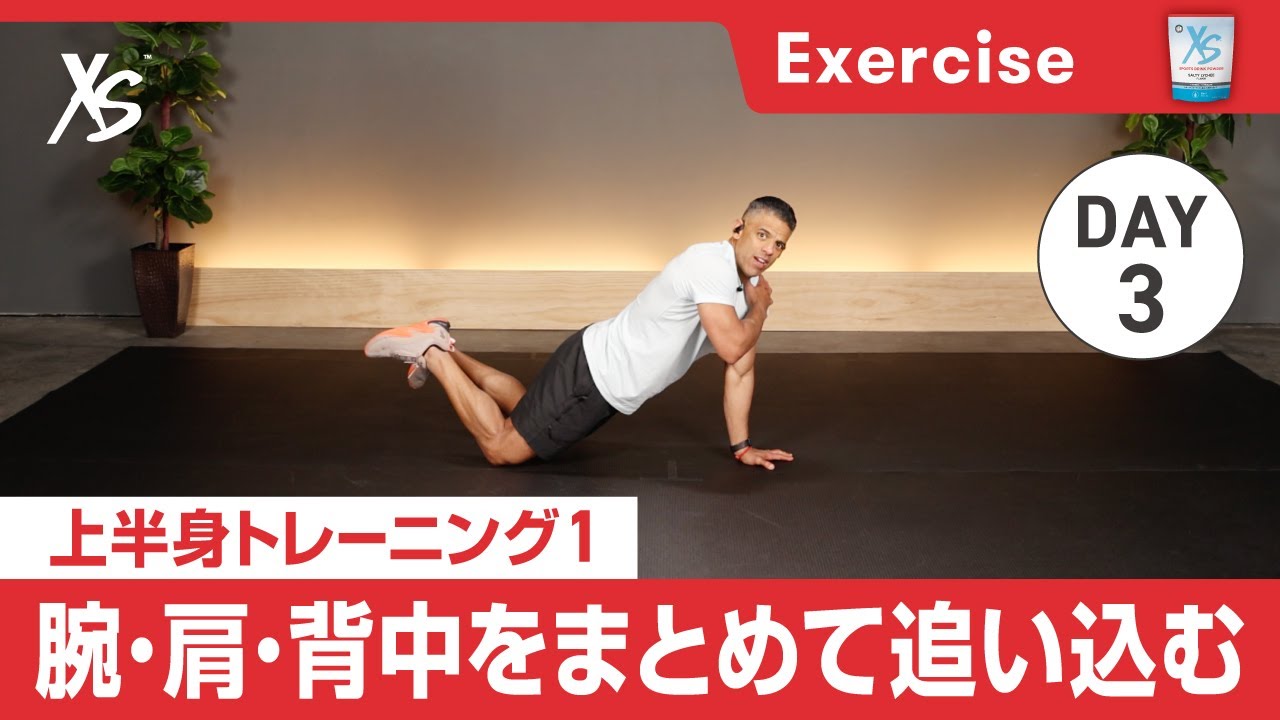 スポーツ フィットネス、トレーニング フィットネスバイク バンド付き 筋トレ 折りたたみ 静音 365日保証