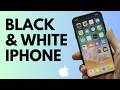How to Turn iPhone Screen Black and White (Step-by-Step Guide)