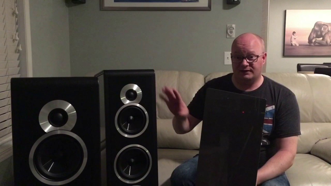 sonus faber chameleon b for sale