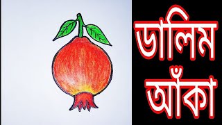 How to draw a Pomegranate (Step by Step) Very Easy | Dalim drawing | ডালিম আঁকা *Exclusive