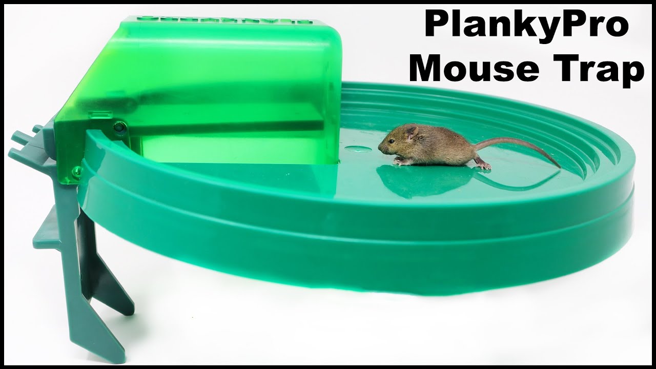 2 Pack Walk The Plank Mouse Trap, Auto Reset Live Catch Rat Trap