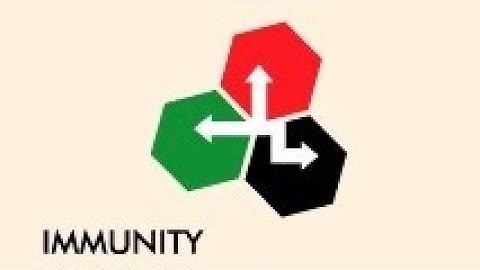 Tutorial: How to install correctly Immunity Debugger with Mona (for Win 7 and Win 11)