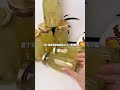 #mukbangasrm #anuong #mukbang #doanvat #shots #anvat #giaitri #viral #cayngon #doanngon 956