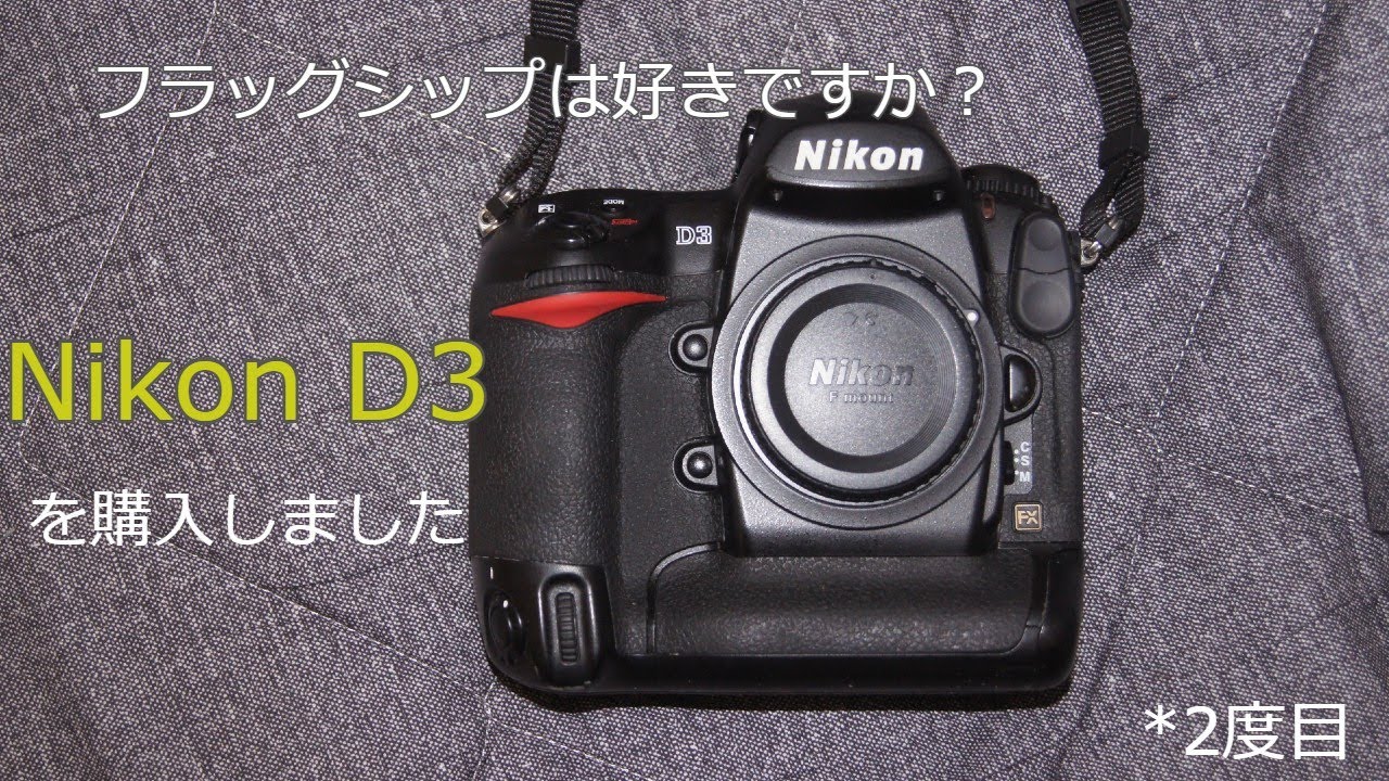 [付属品多数]Nikon D3 フラッグシップ機モデル