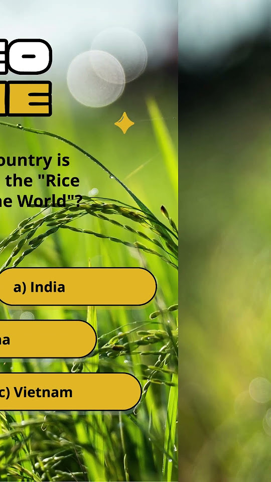 am-i-boring-you-drop-in-comments-triviachallenge-factshorts-facts