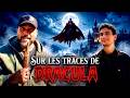 DRACULA: YOU'VE BEEN LIED TO