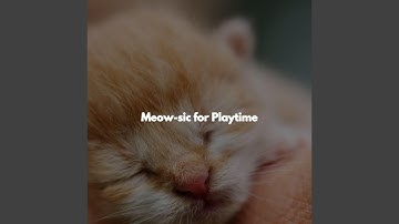 Alluring Backdrops for Open Work Space