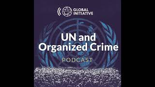 Cybercrime P2: The road to a new UN convention