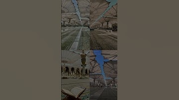 إن الله و ملائكته يصلون على النبي من سورة الاحزاب بصوت عبدالرحمن الغامدي