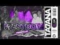 WESTBOY TA7ANA WESTBOY TA7ANA