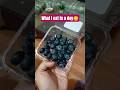 What I Eat in a Day #minivlog #dailyvlog #indianfood #desifood #foodvlog #dailyvlog #food #shorts