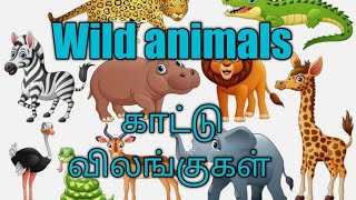 Wild animals/காட்டு விலங்குகள்