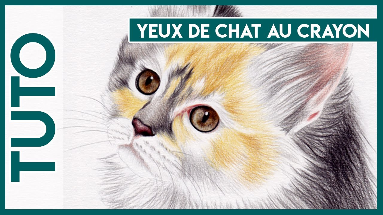 Tuto n°5] Dessiner les poils des animaux - CloseToArt 