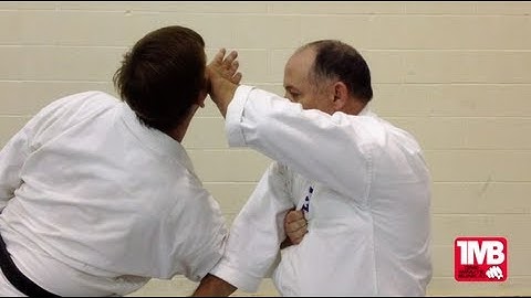 One Minute Bunkai: Wansu Sho #1