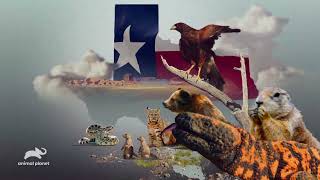 Animal Planet - Lone Star Law S6: Family Lies screenshot 4