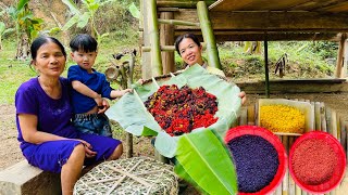 Red rice and black rice in traditional Asian holidays - Cooking -  SINGLE MOM