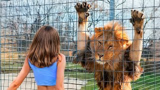 OS ANIMAIS MAIS EMOTIVOS REENCONTRAM SEUS DONOS DEPOIS DE ANOS