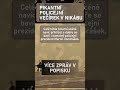 Šéf policie tancoval v ženském muslimském oděvu!