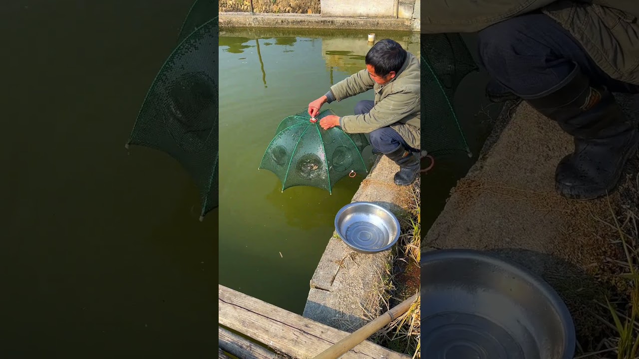 Fishing Rod | Fishing Videos | Fishing Trout | Fishing in River | Fishing in Japan 