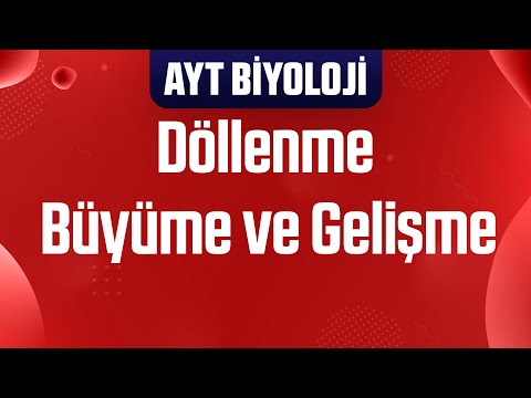 31) Döllenme , Büyüme ve Gelişme (AYT Biyoloji Kampı)