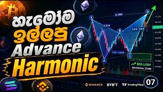 Harmonic Advance Trading Lesson 07- Technical Analysis - Sinhala