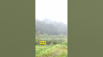 The Growth Mindset: Turning Challenges into Opportunities