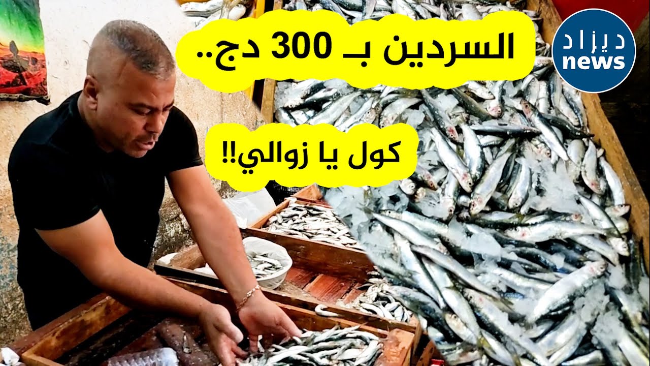تجار الأسماك بمدينة عنابة يتنافسون على تنزيل سعر السردين وشاهدوا كيف كانت ردة فعل المواطنين