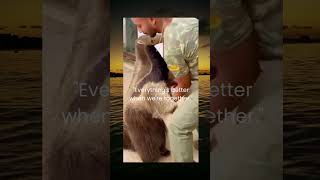 "Everything's betterwhen we're together." man hug a Anteater.