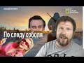 Сериал  НBO возвращается