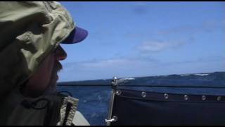 Sailing Back to Hawaii – Day 2: Like Fingernails on a Chalkboard