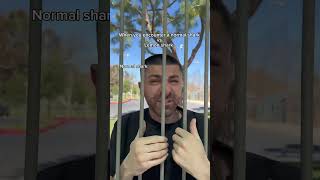 When you encounter a normal shark vs lemon shark. #shorts #skit #funny