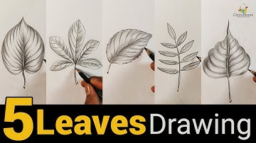 5 Leaves Drawing with Pencil Shading | Drawing for Beginners Practice