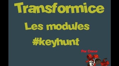 Transformice module #1 Keyhunt