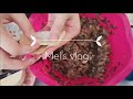 Mel's vlog 4 | Social Distancing life | Making gyoza | Grocery shopping | 🌈 Double rainbow