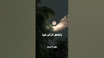 قال رب إني وهن العظم مني واشتعل الرأس شيبا - سورة مريم | القارئ الشيخ محمد صديق المنشاوي رحمه الله