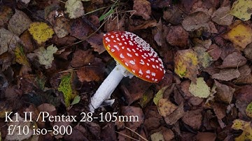 Pentax K1 mark ii Review