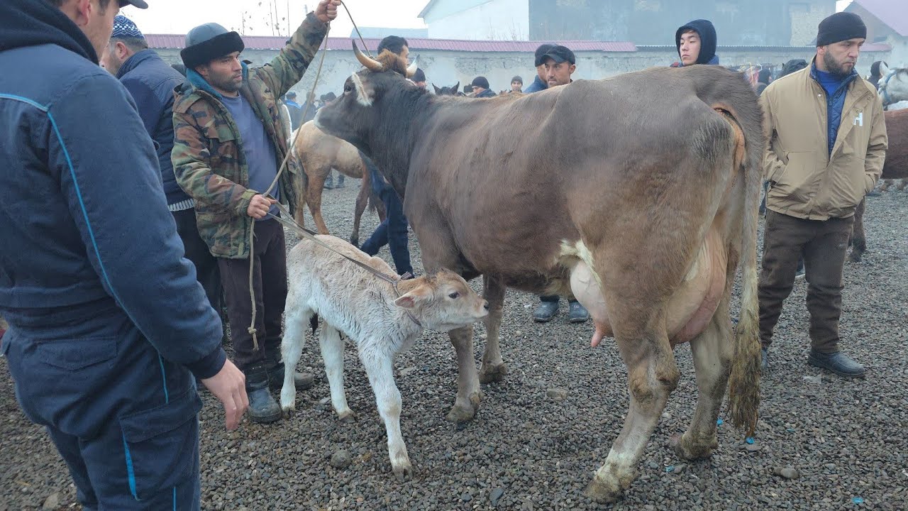 Xõjaobot Sogir Bõğoz Bozori Andijon