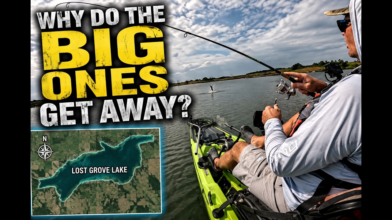 Why Do The Big Ones Get Away?