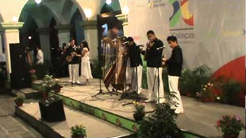 EL PIJUL 5° ENC. ARPISTAS.MPG