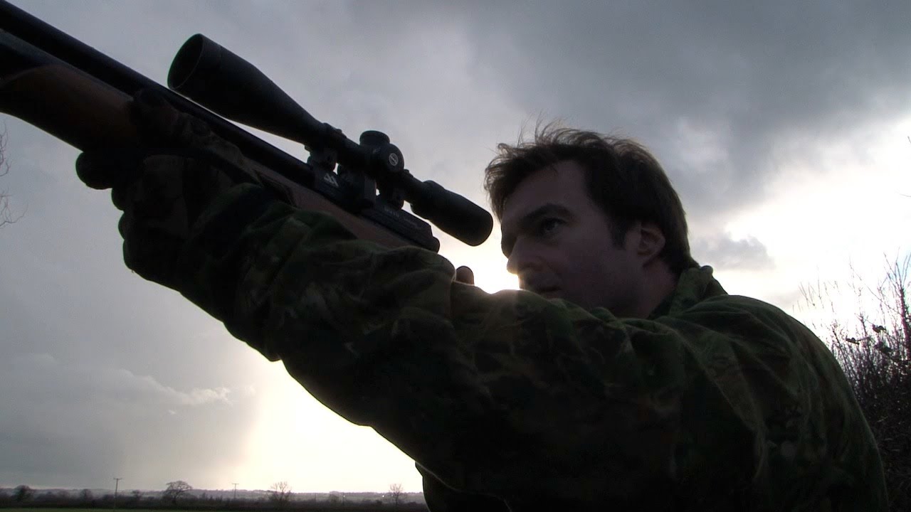 The Airgun Show -- pigeon and dove control PLUS the Daystate Huntsman Regal