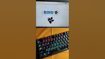 BIRD 🐦 MS Word Symbol Shortcut Key #shorts #asmr #computer #bird