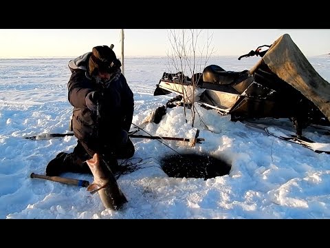 Рыбалка в МОРОЗ.Налим на перемёт..