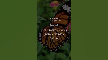 سورة التوبة آيه٥١#القرآن_الكريم#العراق #المغرب #الجزائر #مصر #فلسطين #السعودية #اليمن#اكسبلور #لايك