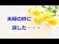 【妻が願った最後の「７日間」】気付かされた！平凡な幸せに