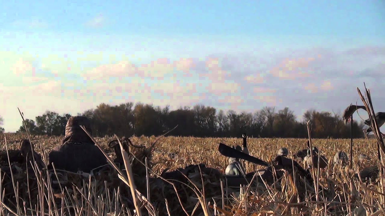 North Dakota Hunt October 21st YouTube