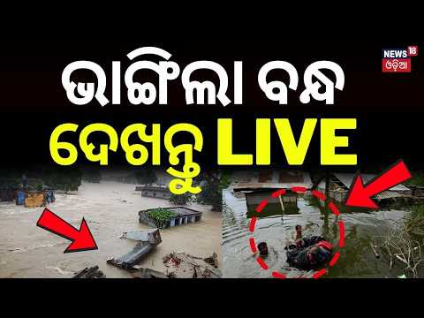 ଭାଙ୍ଗିଲା ନଦୀବନ୍ଧ LIVE | Cuttack Salepur Flood News: Chitrotpala River Erosion Threatens Gualinasi