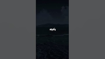 تلاوه هادئه وجميله | ليطمئن قلبك