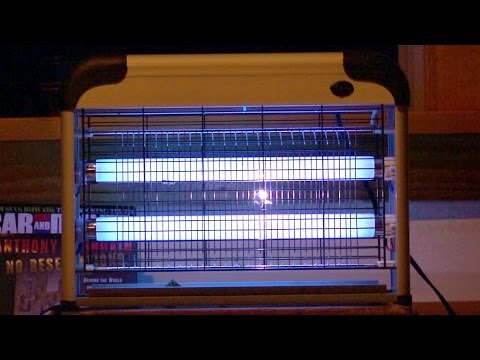 Aspectek Indoor Bug Zapper In Action - Full Test & Review